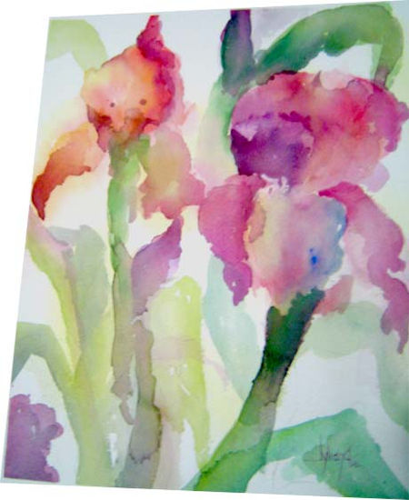 Lirios Watercolour Paper