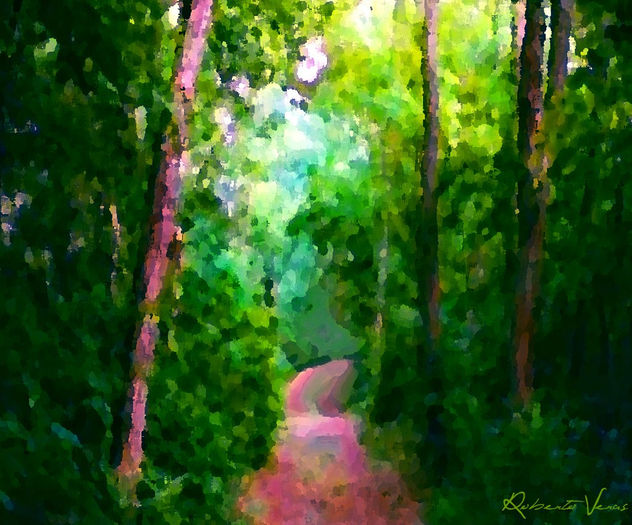 EL BOSQUE VERDE