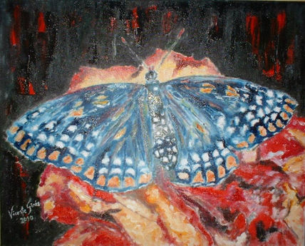 Mariposa-4