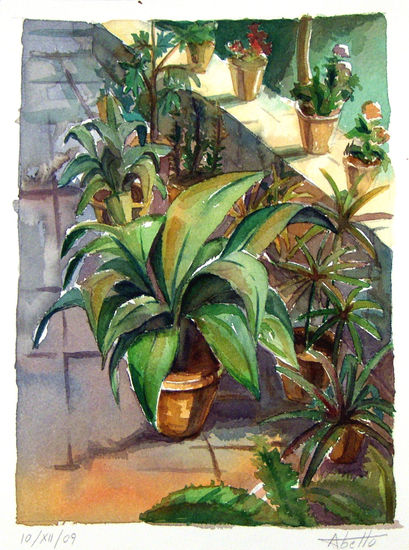 patio con macetas Oil Canvas Landscaping