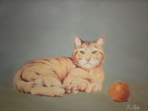 "Gato a la naranja" Óleo Lienzo Animales