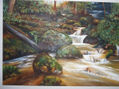 Paisaje