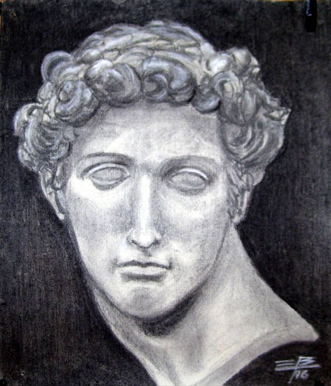 Busto de David (grande) Charcoal