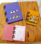 AGENDA PINTADA