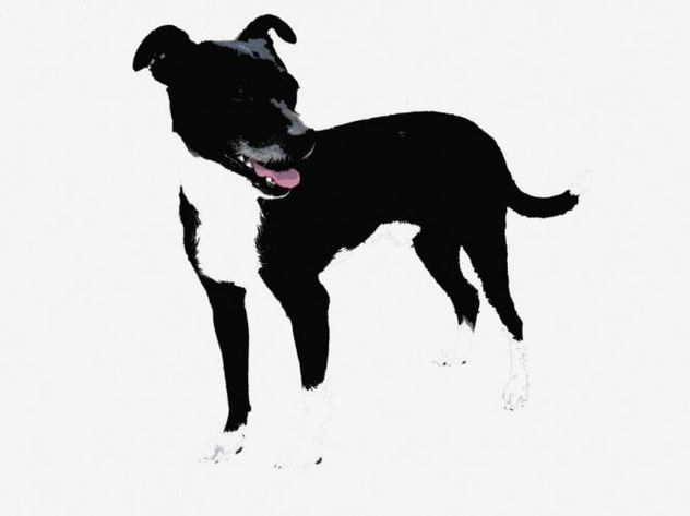 Mut