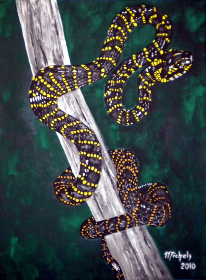 Mangroven-Nachtbaumnatter (Boiga dendrophila) Acrylic Canvas Animals