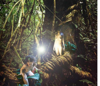 Feérico sotobosque
