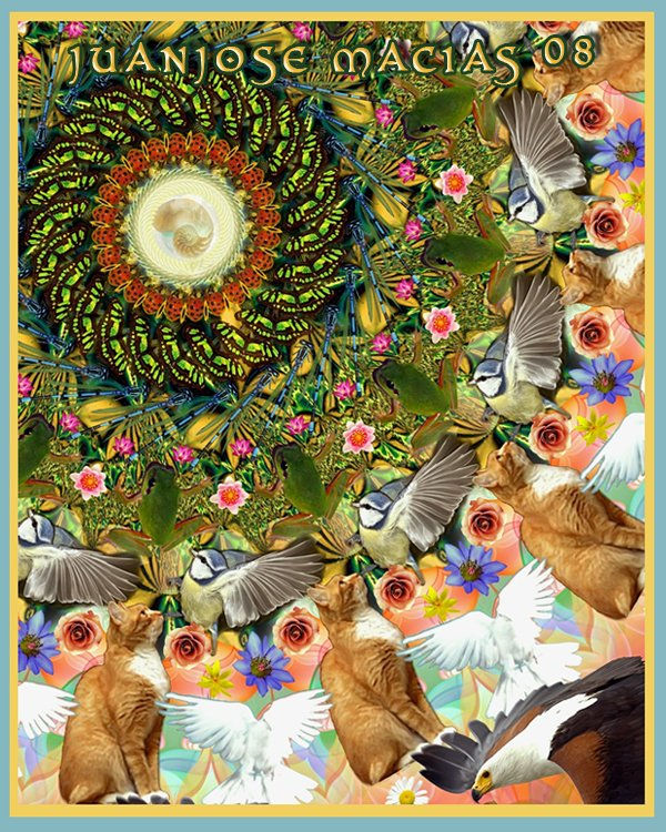 mandala creación