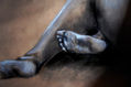 desnudos