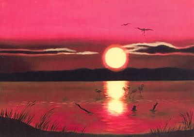 Amanecer en doñana