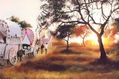 CAMINO DEL ROCIO AL ATARDECER