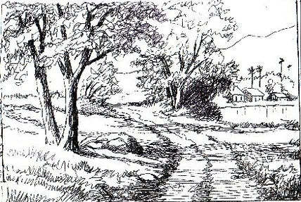 Boceto 32