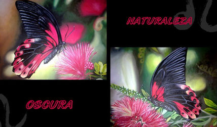 Naturaleza oscura