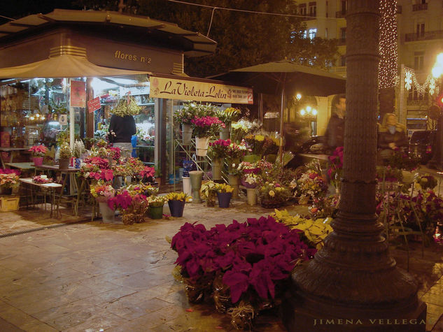 " Puesto de Flores" Plaza del Ayuntamineto Valencia Viajes Color (Digital)