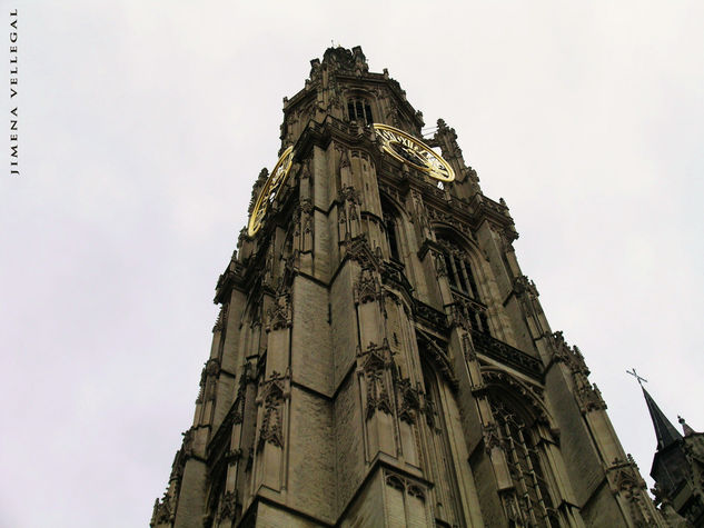 " Cathedral of our Lady" Amberes-Belgica Arquitectura e interiorismo Color (Digital)