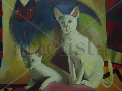 Gatos blancos