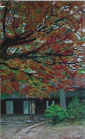 estampa japonesa