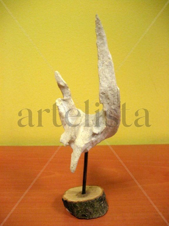 "Afrodita"