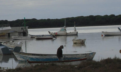 Doñana