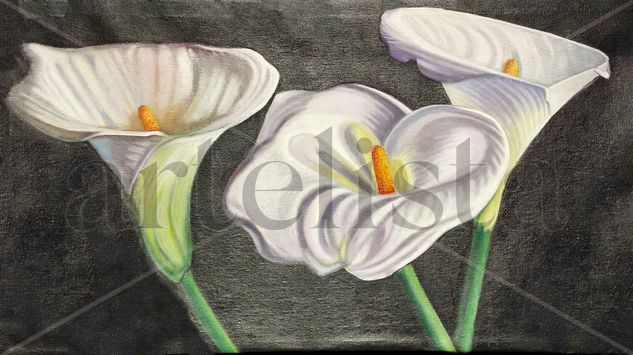 calas 3 Óleo Lienzo Floral