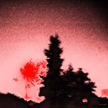SensivilizArte thumbnail 1