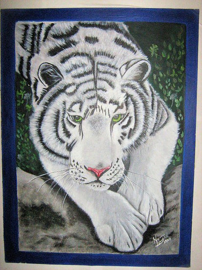 TIGRE BLANCO Oil Canvas Animals