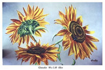 Girasoles