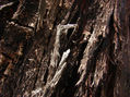 textura 3