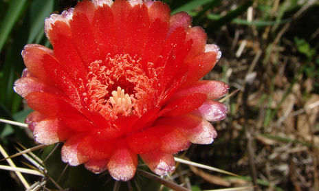 texturas