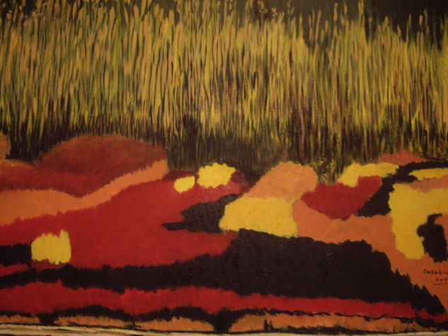 Campos de enea 