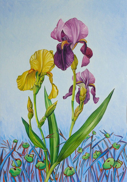 Flores3