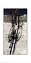 bici