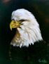 mirada de aguila