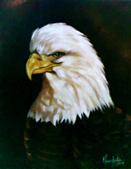 Mirada de aguila