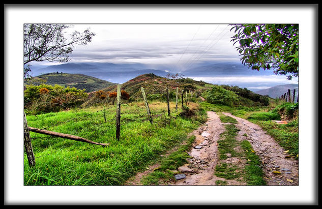 Andes XXXV Nature Color (Digital)