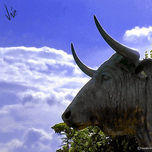 FOTOGRAFIAS thumbnail 1