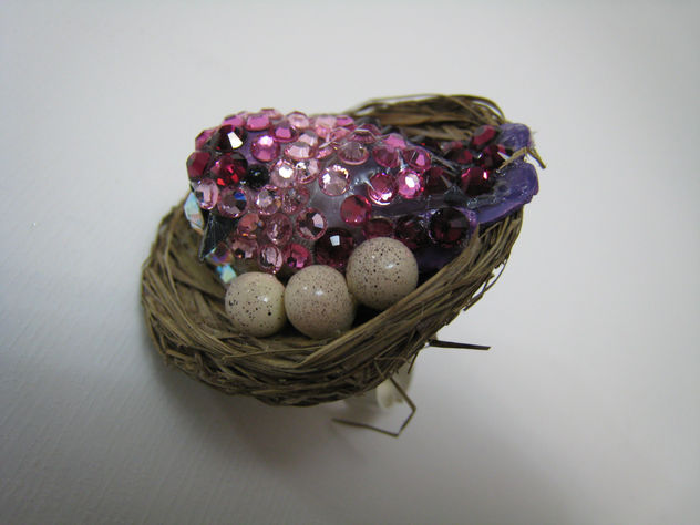 Anillo del Pajarito en nido