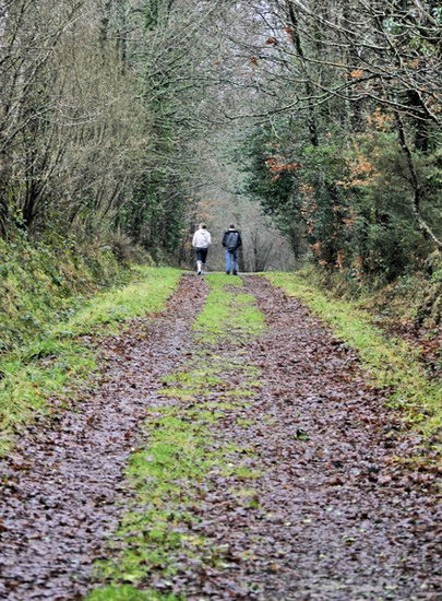 paseo por el sendero 