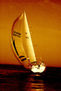 regata