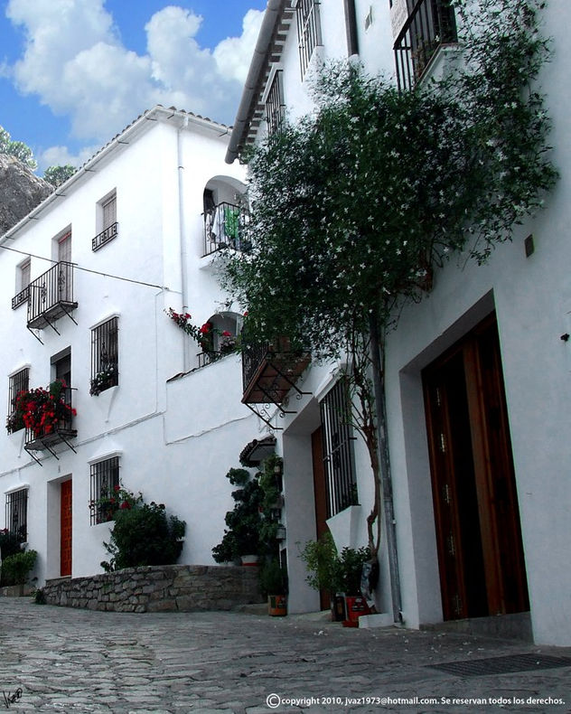 la casa del jazmin