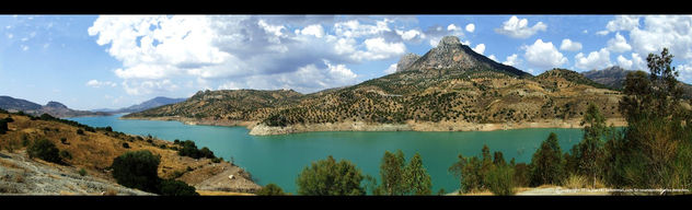 pantano