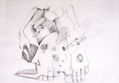 HUMANO -INSECTO