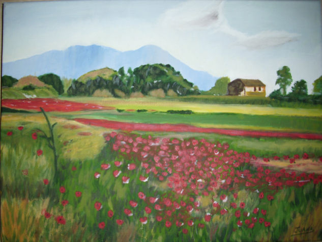 AMAPOLAS Oil Canvas Landscaping