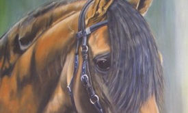 caballos