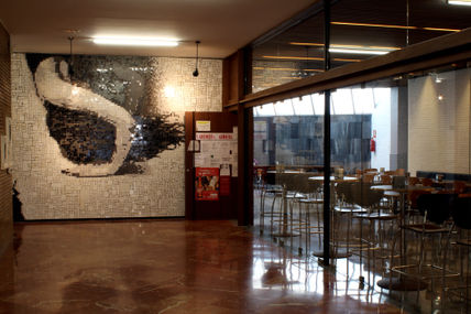 Paramento mujer