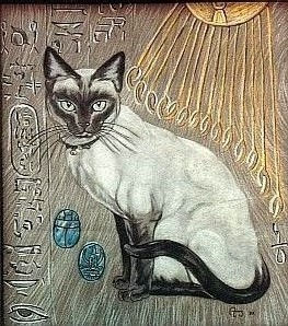 Gato Pastel Canvas