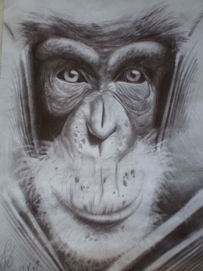 chimpancé.. Pencil