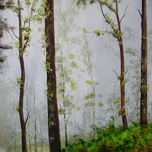 Colección Particular thumbnail 2