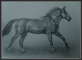 Caballo I