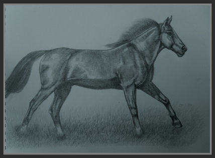 Caballo I